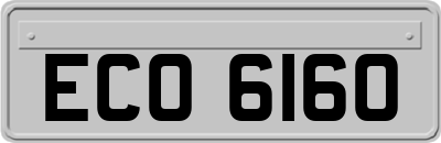 ECO6160