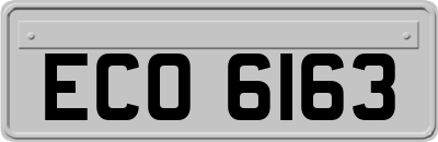 ECO6163