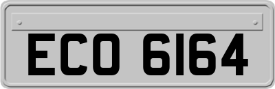 ECO6164