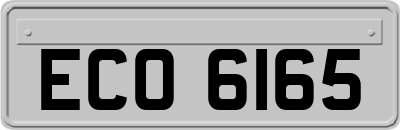 ECO6165
