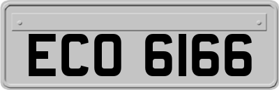 ECO6166