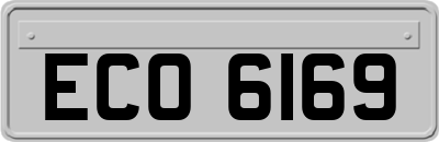 ECO6169