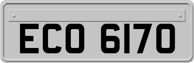 ECO6170