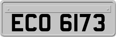 ECO6173