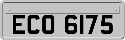 ECO6175