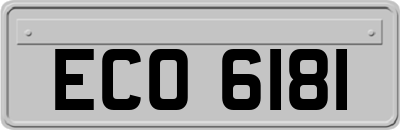 ECO6181