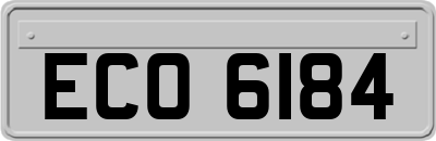ECO6184