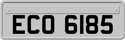 ECO6185