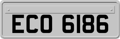 ECO6186
