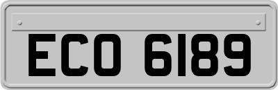 ECO6189
