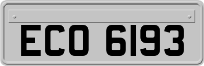 ECO6193