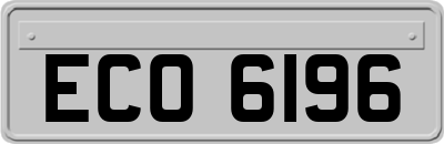 ECO6196