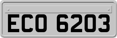 ECO6203