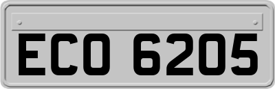 ECO6205