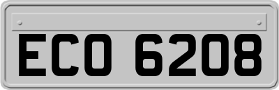 ECO6208