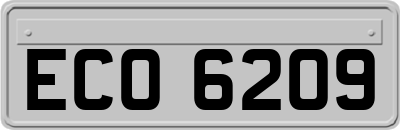 ECO6209