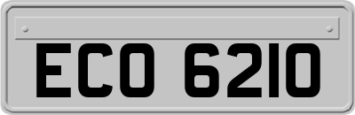 ECO6210