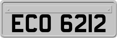 ECO6212
