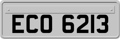 ECO6213