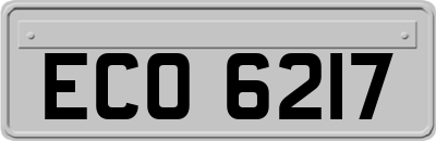 ECO6217