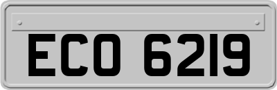 ECO6219