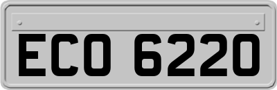 ECO6220