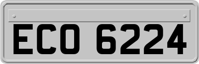 ECO6224