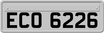 ECO6226