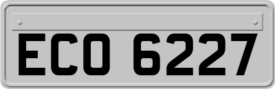 ECO6227