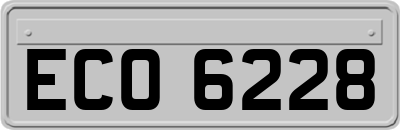 ECO6228