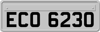 ECO6230