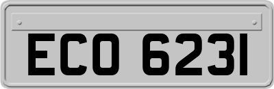 ECO6231