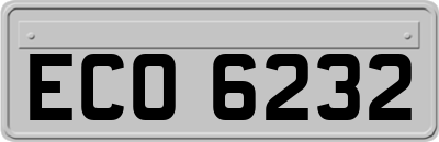 ECO6232