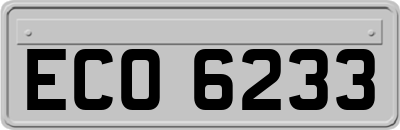 ECO6233