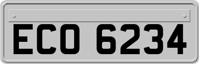 ECO6234