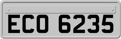 ECO6235