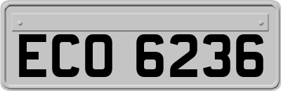 ECO6236