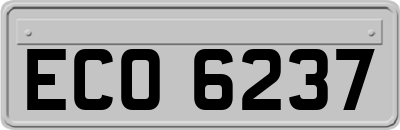 ECO6237