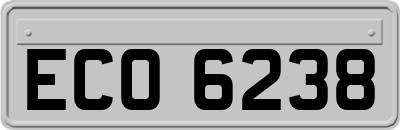 ECO6238