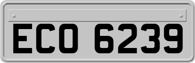 ECO6239