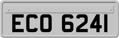 ECO6241