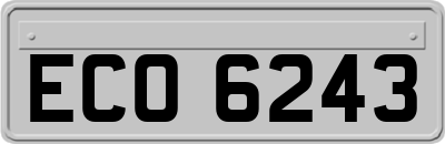 ECO6243