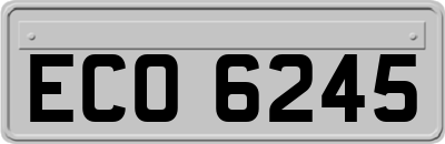 ECO6245