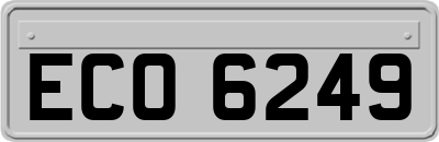 ECO6249
