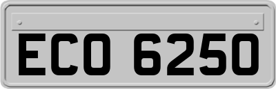 ECO6250