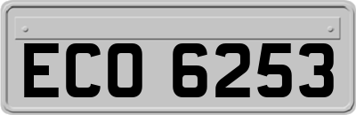 ECO6253
