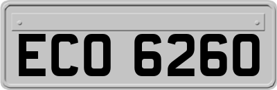 ECO6260