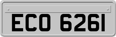 ECO6261