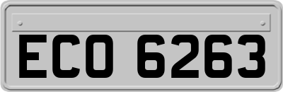 ECO6263