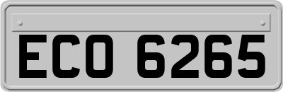 ECO6265